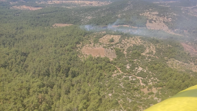 Muğla'da orman yangını (2)