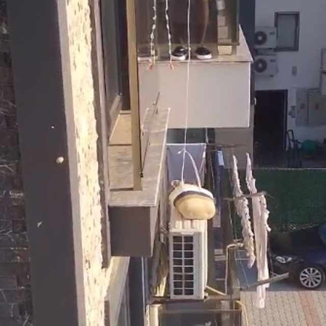 Klimada mahsur kalan kedisini kabloyla bağladığı plaj çantasıyla kurtardı