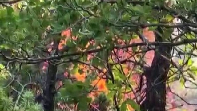 Diyarbakır'da örtü yangını