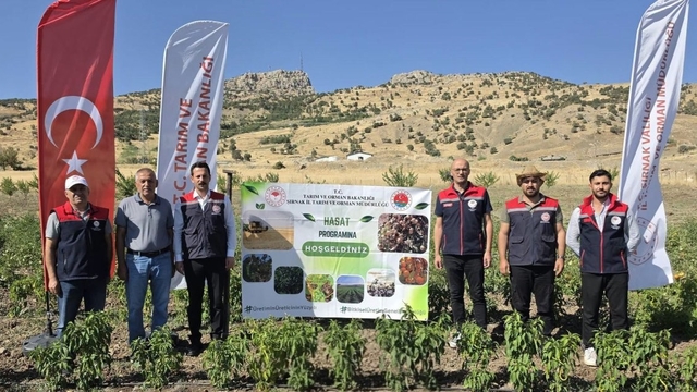 Şırnak'ta TAKE Projesi kapsamında sebze hasadı gerçekleştirildi