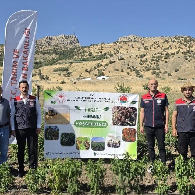 Şırnak'ta TAKE Projesi kapsamında sebze hasadı gerçekleştirildi