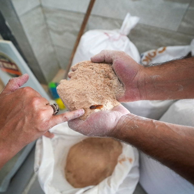 Un fabrikasında şoke eden görüntü: 30 ton böceklenmiş bozuk un ele geçirild...