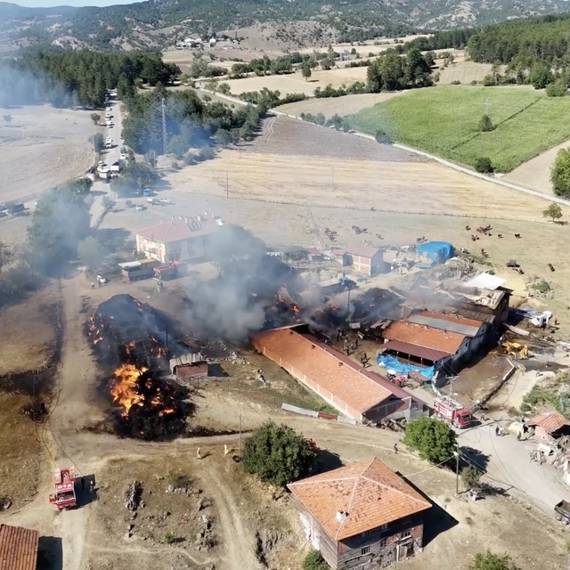 Kastamonu'da çıkan samanlık yangını ahırlara sıçradı: İlk belirlemelere gör...