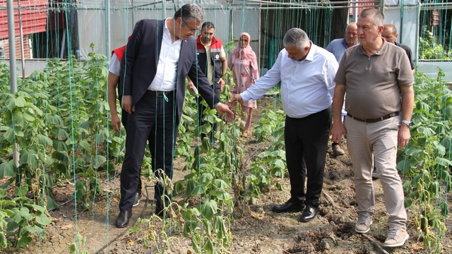 Çarşamba Ovası'nda sağanağın bilançosu ağır: 30 mahallede 5 bin dekar zarar