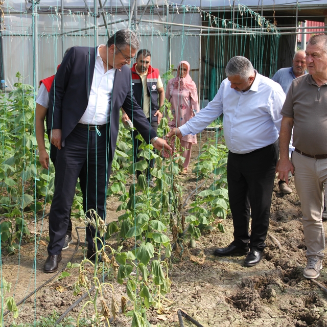 Çarşamba Ovası'nda sağanağın bilançosu ağır: 30 mahallede 5 bin dekar zarar