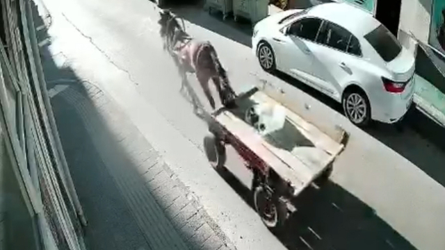 Sürücüsüz at arabası, otomobile çarptı; o anlar kamerada