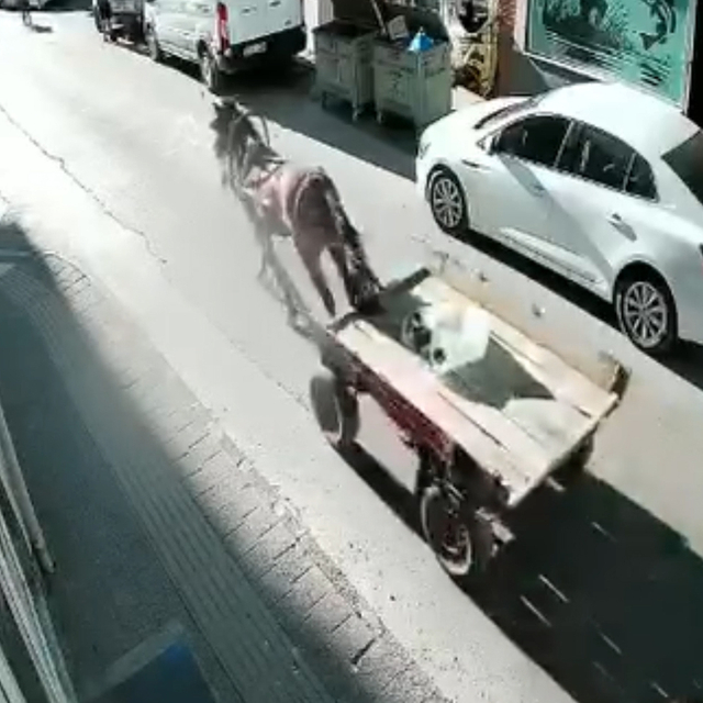Sürücüsüz at arabası, otomobile çarptı; o anlar kamerada
