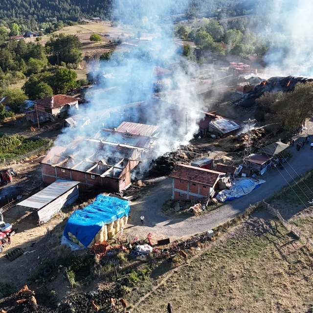 Kastamonu'da 14 büyükbaş hayvanın telef olduğu yangın söndürüldü
