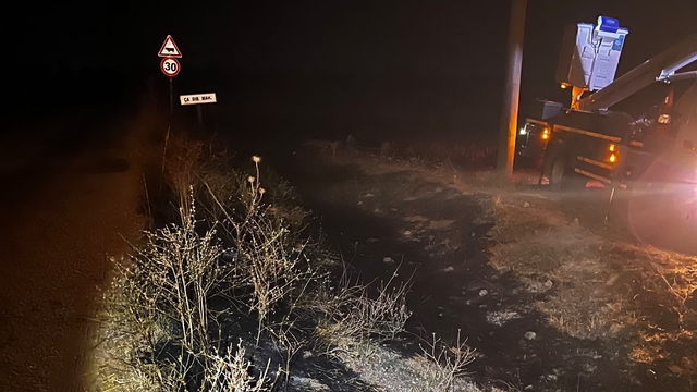 Sivrihisar'da elektrik tellerine çarpan kuş sonrası çıkan yangın söndürüldü