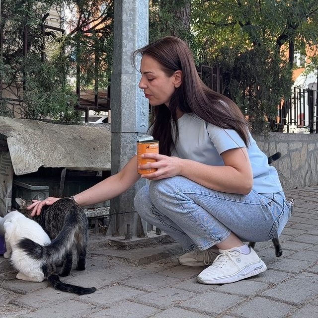 Kütahya'da kedi vahşeti: Başını ve ayaklarını kesip apartmanın önüne bırakt...