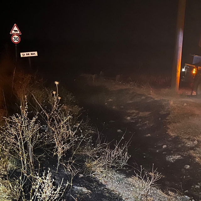 Sivrihisar'da elektrik tellerine çarpan kuş sonrası çıkan yangın söndürüldü