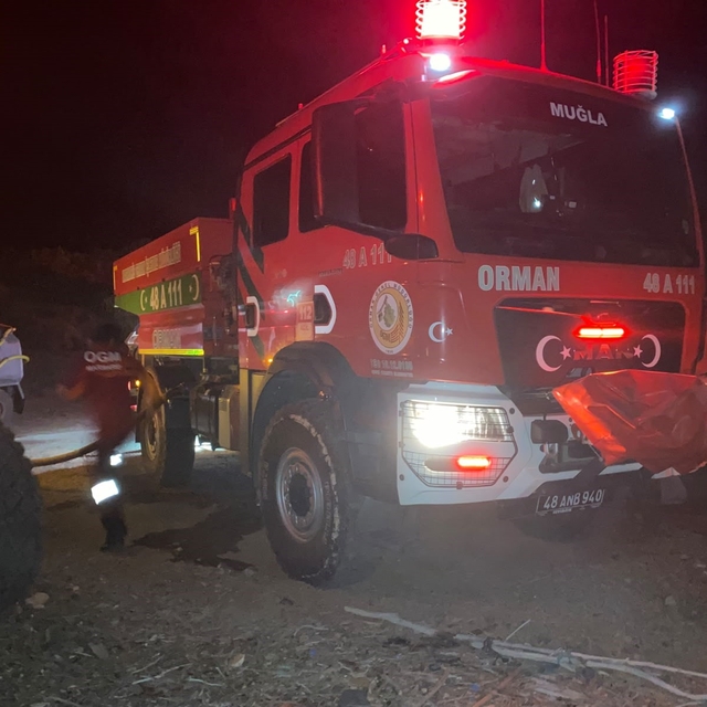 Marmaris'teki orman yangını kontrol altına alındı