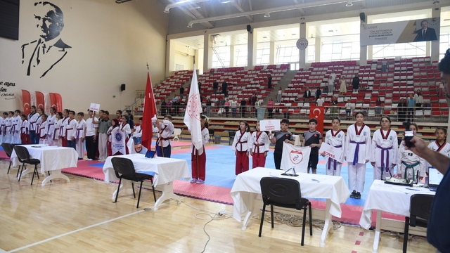 Eskişehir'de 2'inci İller Arası Taekwondo Poomsae Turnuvası heyecanı
