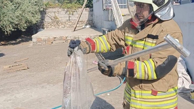 Hatay'da yerleşim alanlarında yakalanan yılanlar doğaya bırakıldı