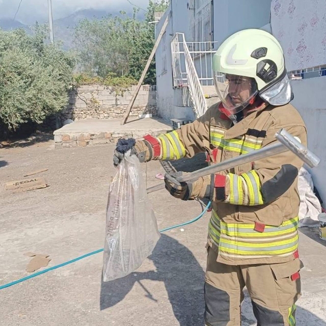 Hatay'da yerleşim alanlarında yakalanan yılanlar doğaya bırakıldı