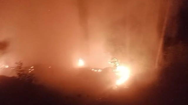Alanya'da ormanlık alan yangınında 2 dönüm alan zarar gördü