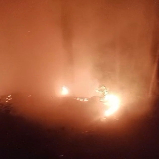 Alanya'da ormanlık alan yangınında 2 dönüm alan zarar gördü