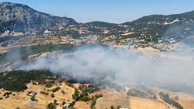 Kaş'ta çıkan ormanlık alan yangını 2,5 saatte kontrol altına alındı