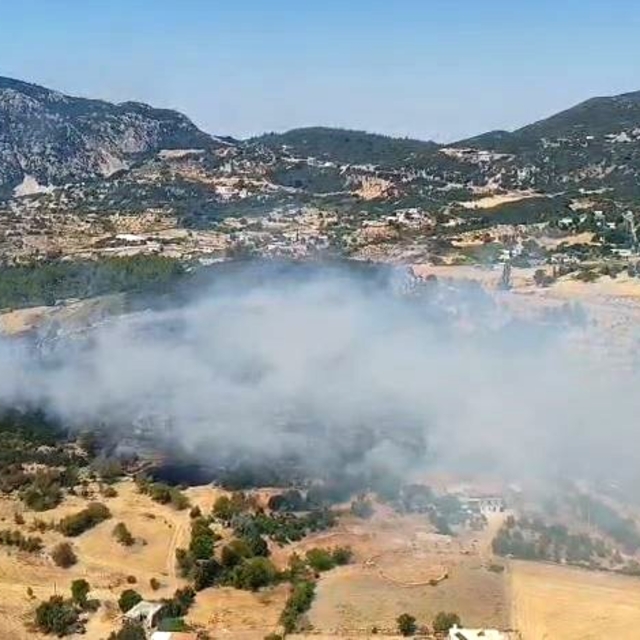 Kaş'ta çıkan ormanlık alan yangını 2,5 saatte kontrol altına alındı