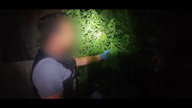 Niğde'de uyuşturucu operasyonu: 1 şüpheli tutuklandı