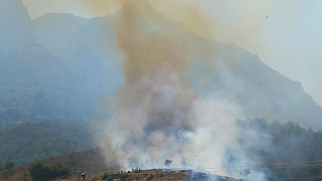 Manisa'da orman yangını