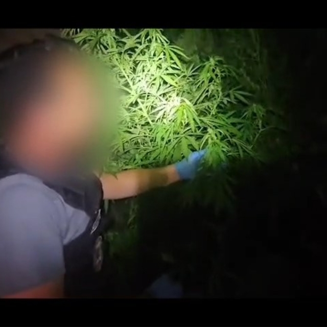 Niğde'de uyuşturucu operasyonu: 1 şüpheli tutuklandı