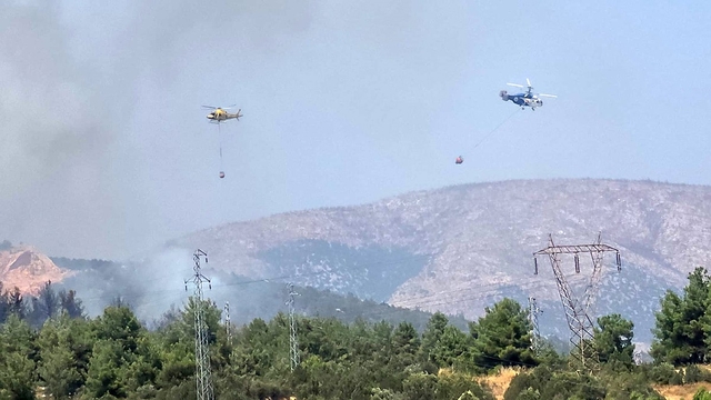 Bilecik'te ormanlık alanda yangın başladı