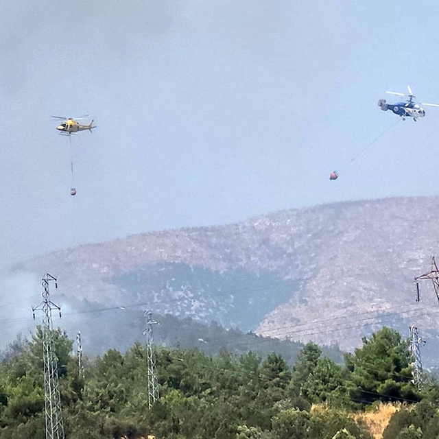 Bilecik'te ormanlık alanda yangın başladı