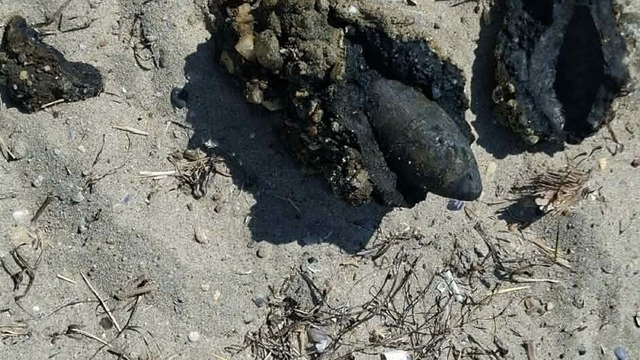 Çanakkale'de halk plajında patlamamış top mermisi bulundu