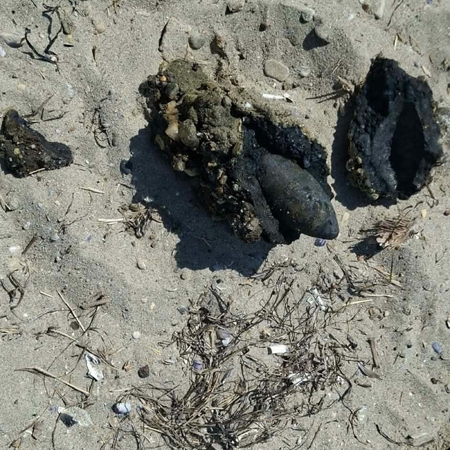 Çanakkale'de halk plajında patlamamış top mermisi bulundu