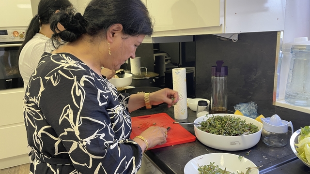 Şanlıurfa'da yetişen semizotu Almanya'da salata oldu