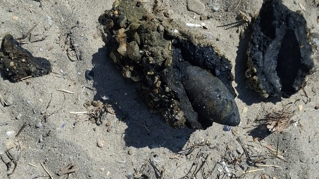 Çanakkale'de plajda savaştan kalma olduğu değerlendirilen askeri mühimmat bulundu