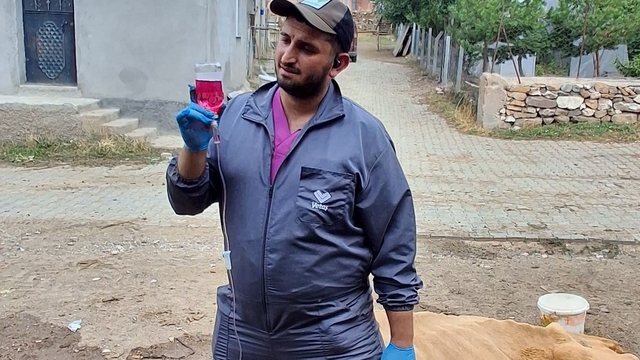 Çukura düşen hamile ineği önce serinletti, sonra kurtardı