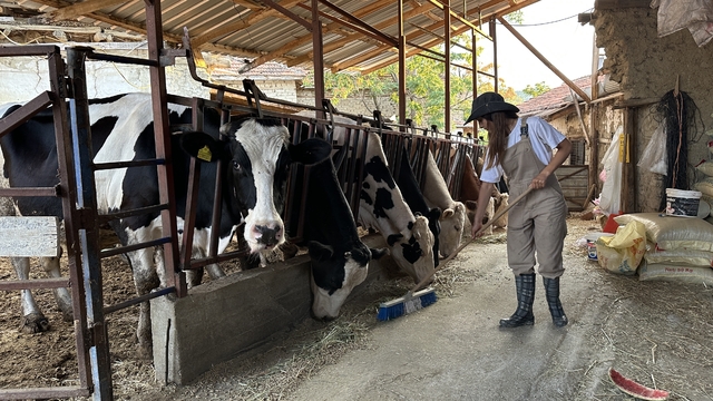 Babasının geçirdiği iş kazasıyla çiftliğin yükü omuzlarına bindi, o ise üretmekten vazgeçmedi
Babasının geçirdiği kaza ile 15 yaşında çiftliğin yükünü sırtladı