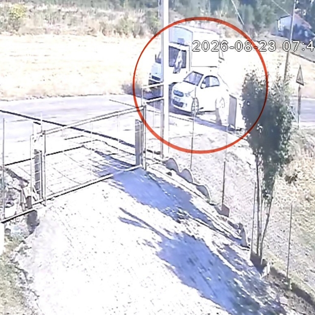 Kamyoneti sollayan otomobil başıboş sokak köpeğine çarptı: O anlar kamerada