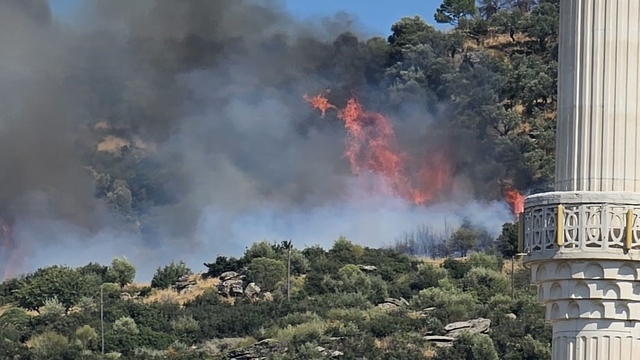 Gebze'de orman yangını başladı