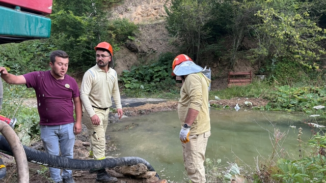 Galeri