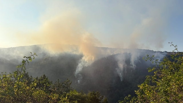 Kastamonu'da ormanlık alanda çıkan yangın kontrol altına alındı