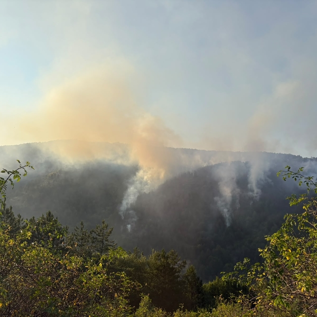 Kastamonu'da ormanlık alanda çıkan yangın kontrol altına alındı