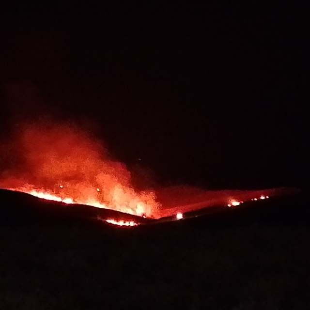 Diyarbakır'da anız ve örtü yangını