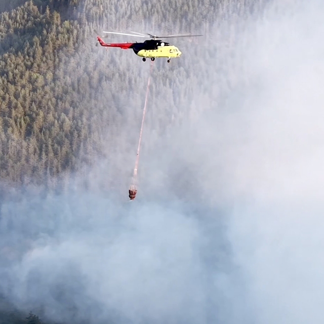 Kastamonu'da çıkan orman yangını kontrol altına alındı