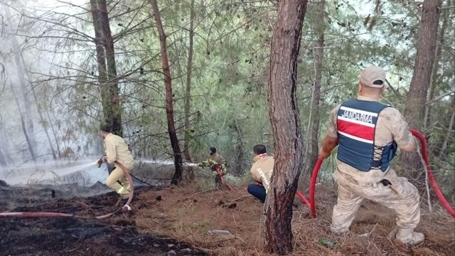 Yayladağı'nda ormanlık alan yangını kontrol altına alındı