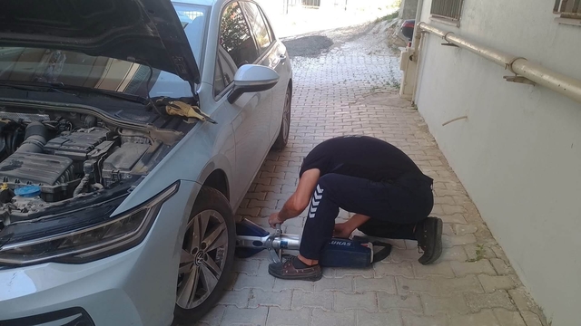 Reyhanlı ve Defne'de mahsur kalan kediler kurtarıldı