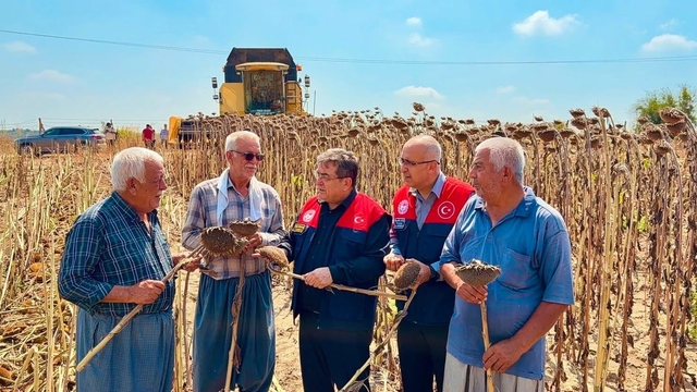 Tarsus'ta ayçiçeğinde 4 bin 485 ton rekolte bekleniyor
