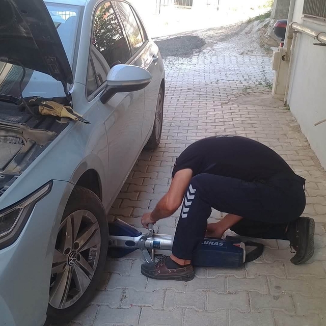 Reyhanlı ve Defne'de mahsur kalan kediler kurtarıldı