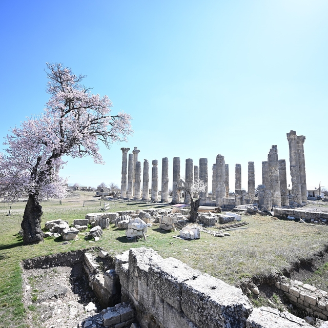 Mersin'de 2 bin 300 yıllık antik kent Arkeoköy ile canlanıyor