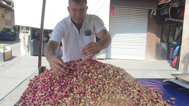 Şanlıurfa'da yeni mahsul fıstık tezgahlardaki yerini aldı