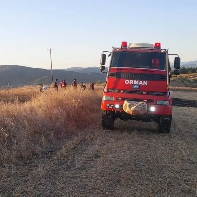 Sinop'ta anız yangını korkuttu