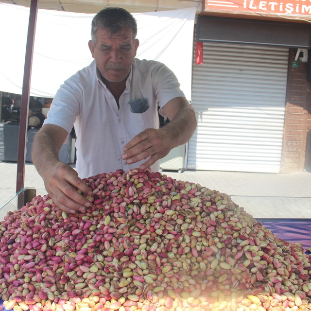 Şanlıurfa'da yeni mahsul fıstık tezgahlardaki yerini aldı