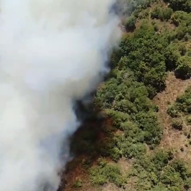 Bursa'da bir orman yangını daha
Yenişehir'de orman dışı alandaki yangın orm...